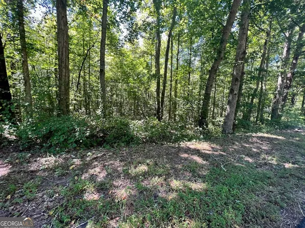 0 Old Draketown Trl #5.62, Temple, GA 30179