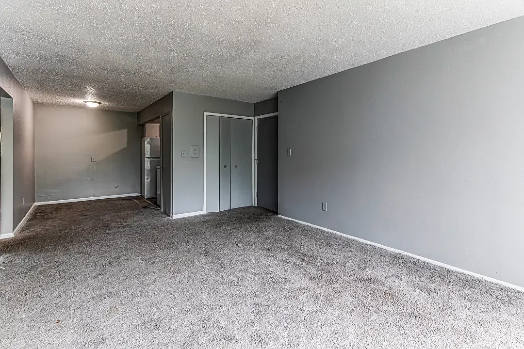Bonnieview Apartments — Photo 4