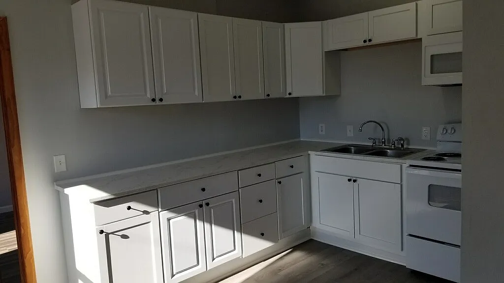1 bed, 450 sqft, $950 — Photo 4