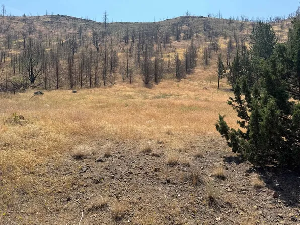 5-4 Lake Shore Dr Lot 189, Weed, CA 96094