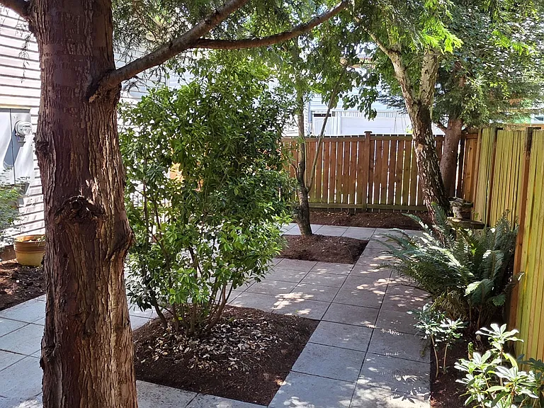 Backyard / Patio