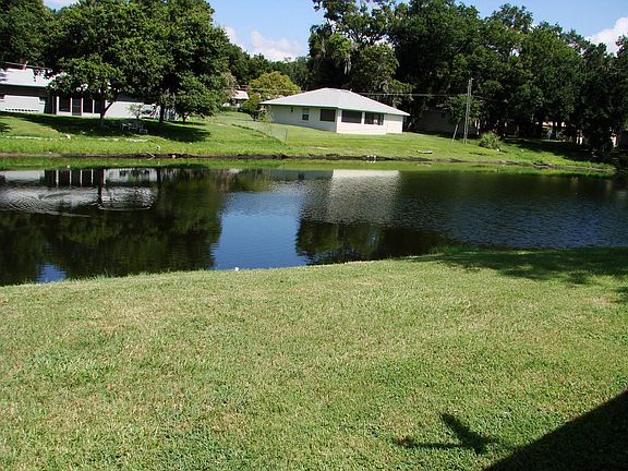 View of pond from patio