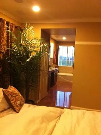 455 Manciano Way — Photo 18