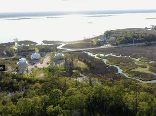 116 Mistiflower Ct, Wilmington, NC 28412