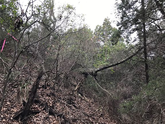 5th image of 11205 Cherry Hollow Xing