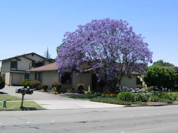 39963 Paseo Padre Pkwy, Fremont, CA 94538