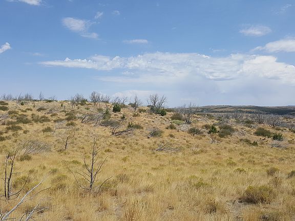View of Center of Property