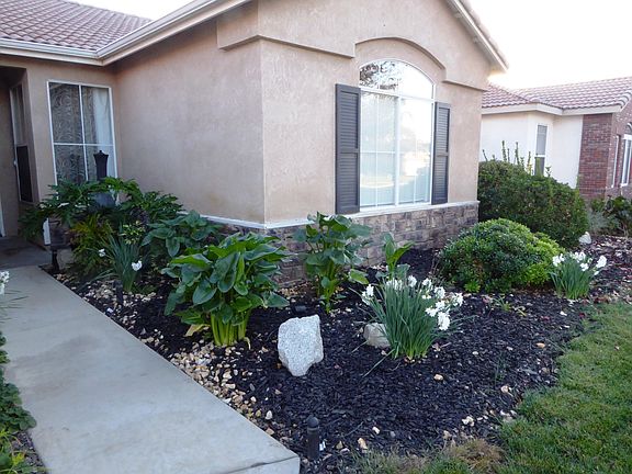 3rd image of 1041 W Encore Dr