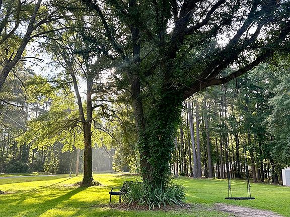 1-acre lot with a park-like setting with beautiful morning light!