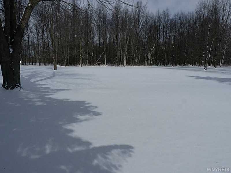 2nd image of 2733 Stenzel Ave