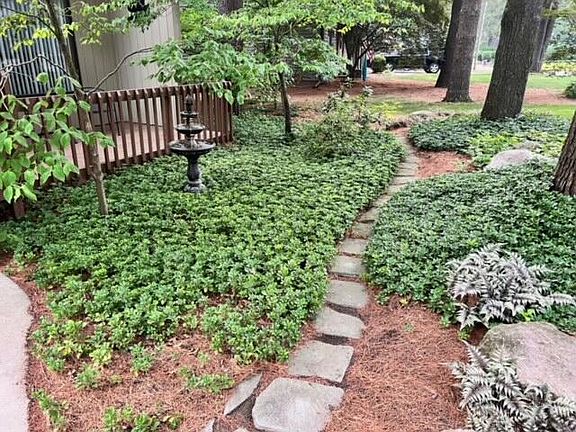 2nd image of 109 Minges Forest Ln