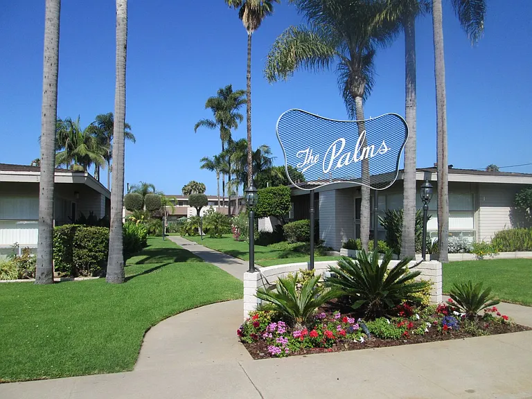 The Palms — Photo 3