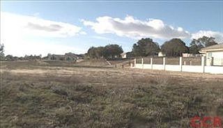 2nd image of 990 Sweet Gum Ln