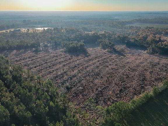 Compass South Land Sales Louisiana Herrington Hill 3