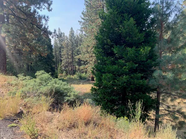 1629 Crocker Ct, Portola, CA 96122