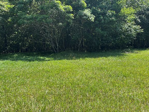 3rd image of 232 Long Branch Rd