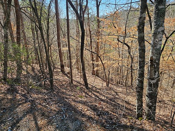 8th image of LOT 26 Oak Ridge Way