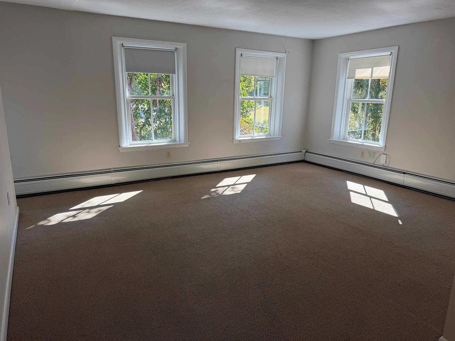 1 bed, 1.0 bath, 6646 sqft, $1,600 — Photo 3