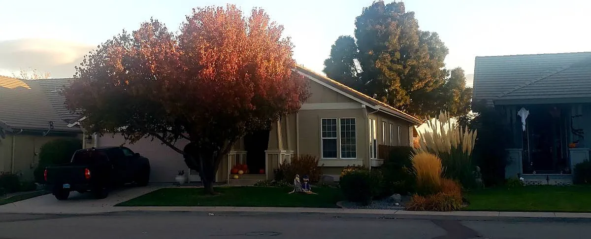 Turnberry Dr, Sparks — Photo 4