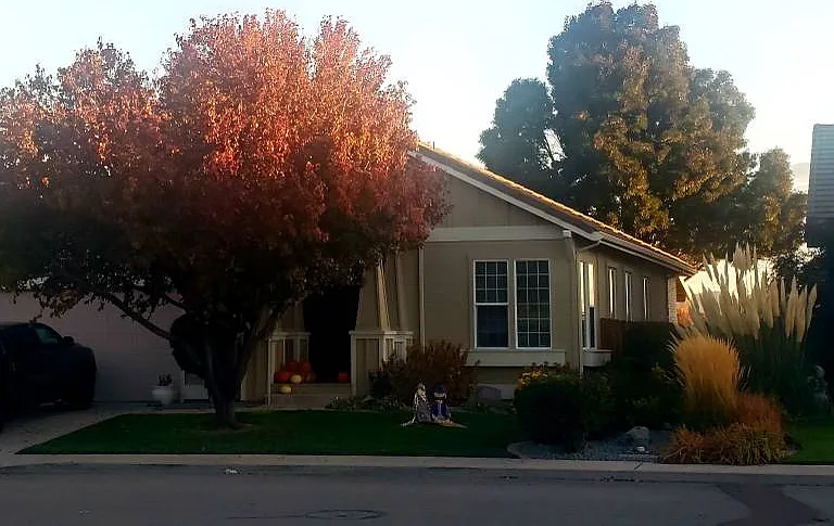 Turnberry Dr — Photo 4