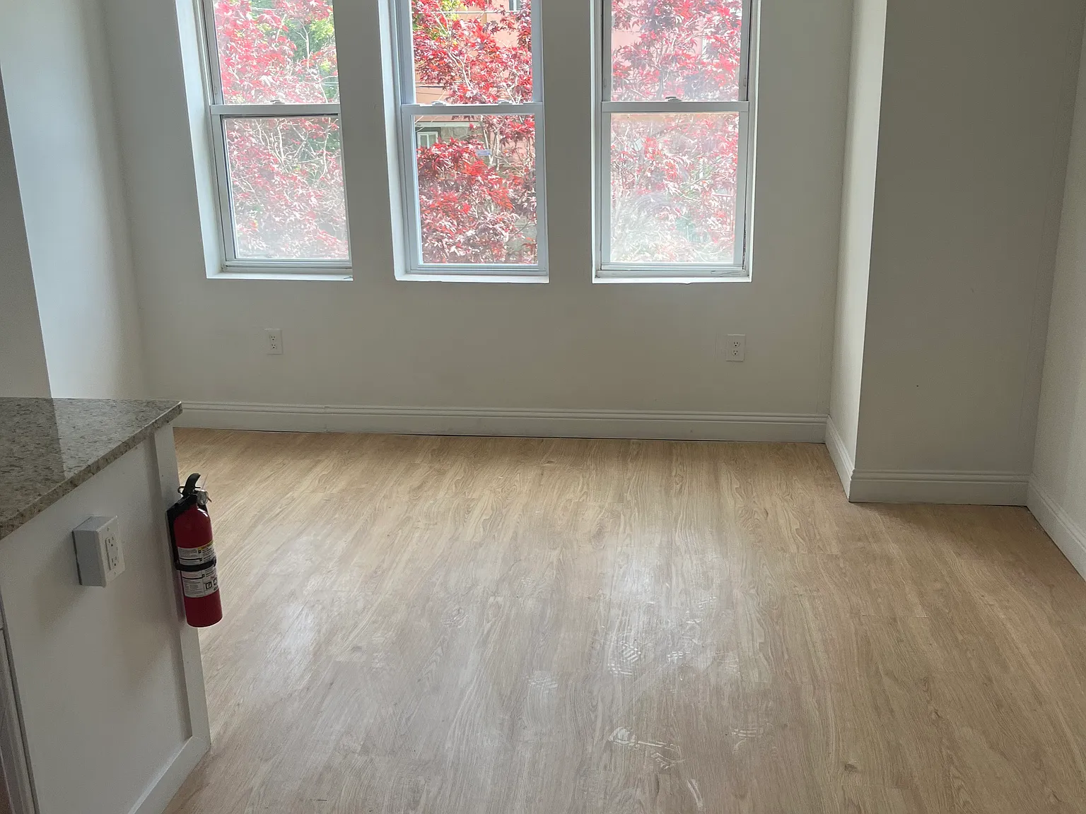 502 Clifton Ave — Photo 4