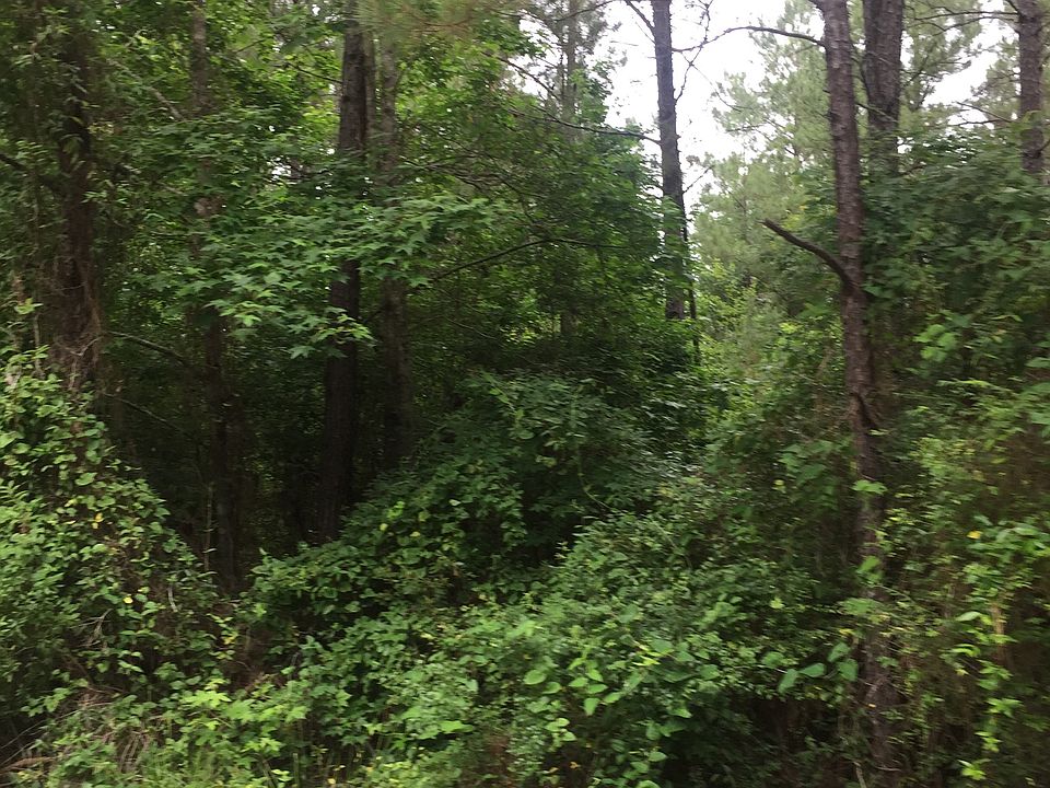 1st image of Sandy Creek Tract
