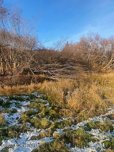 1st image of L19 Shelby Kay St