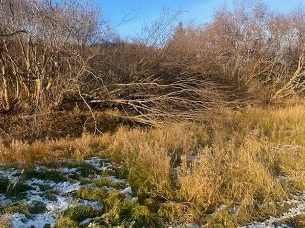 L19 Shelby Kay St, Homer, AK 99603