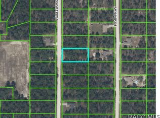 15140 Fleetwood Rd, Weeki Wachee, FL 34614