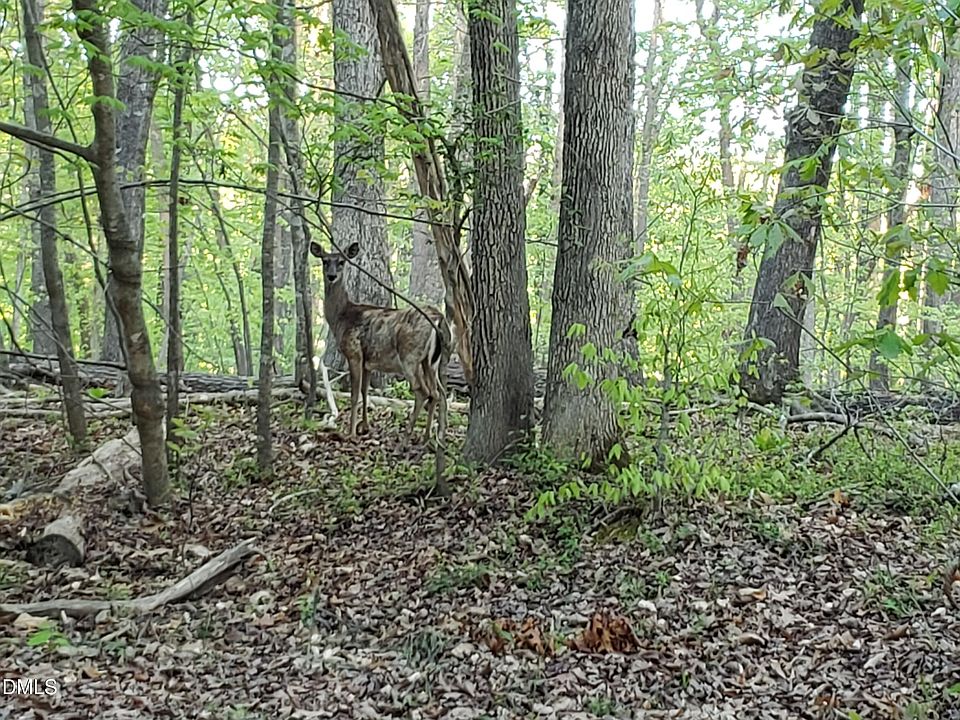 1st image of LOT 2 Deer Run Trl Lot 2