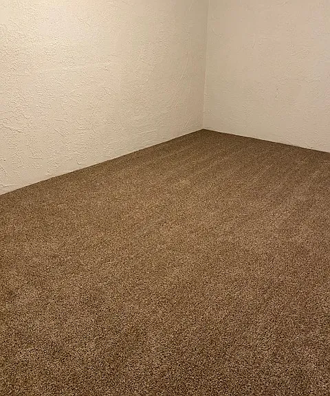 Bonus basement room