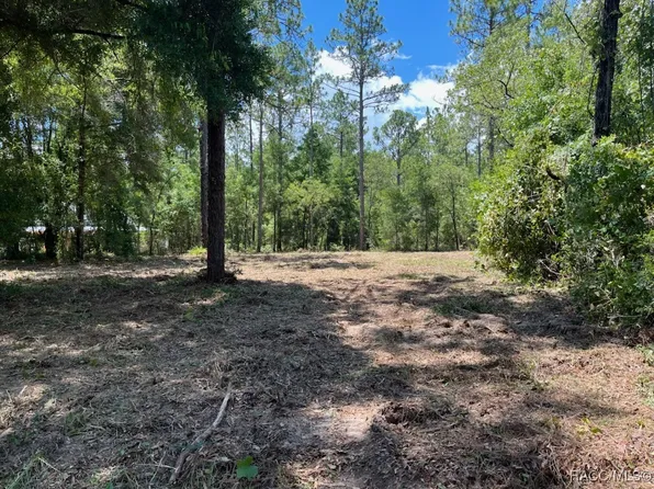 LOT 51 SW 57th Pl, Dunnellon, FL 34432