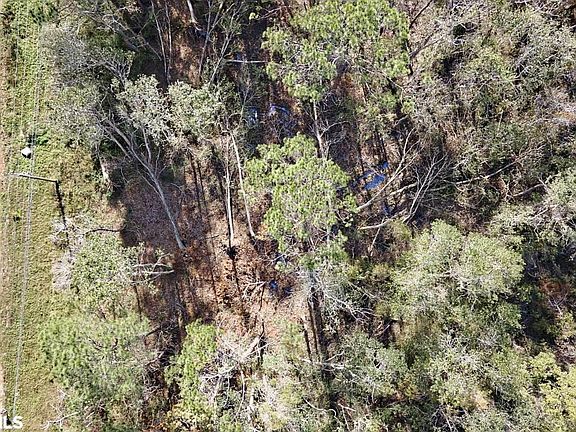 5th image of 16495 County Road 9