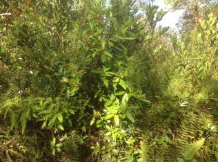 Mauna Loa Rd LOT 122, Volcano, HI 96785