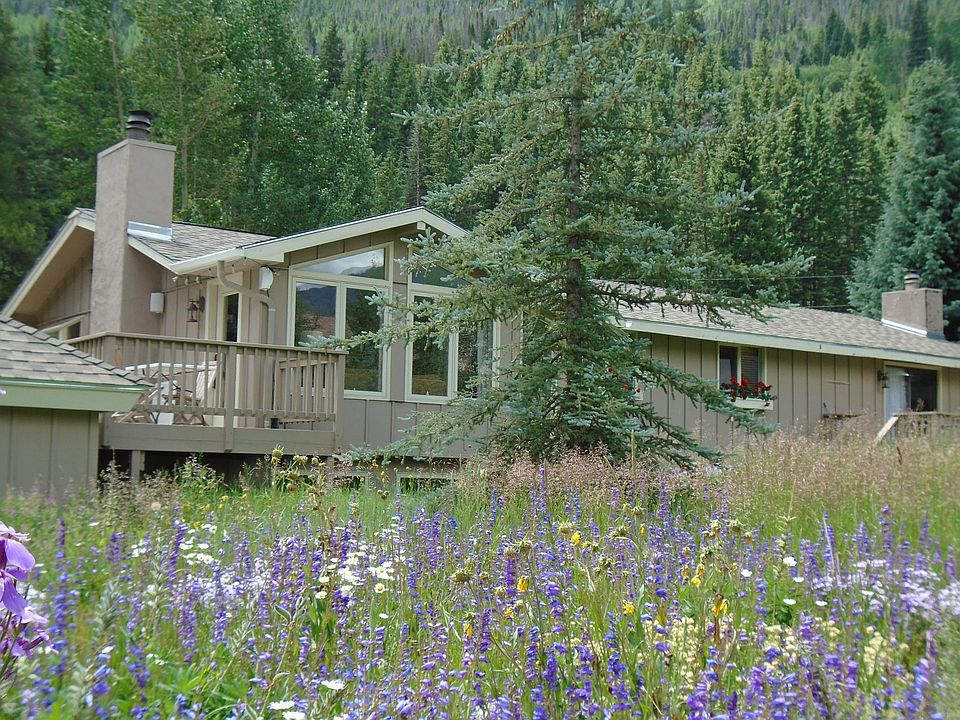 View from rear yard