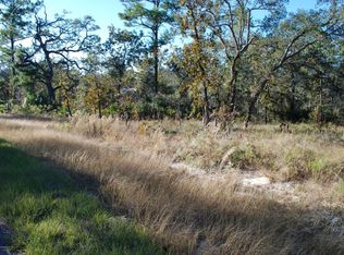 12145 Peregrine Falcon Ave, Weeki Wachee, FL 34614