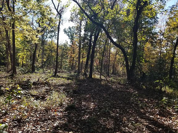 5th image of Tract 9 Creekwood Lane