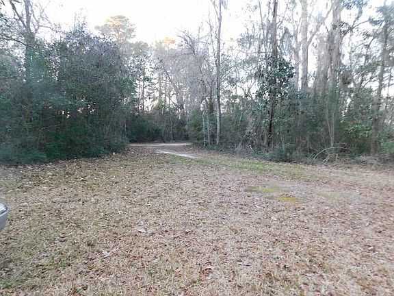 3rd image of LOT 4 Edisto Oak Ln
