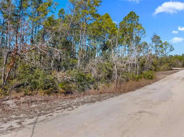 0 Oak Pond Cir, Steinhatchee, FL 32359