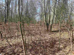 Oestman Dr NE, Kalkaska, MI 49646