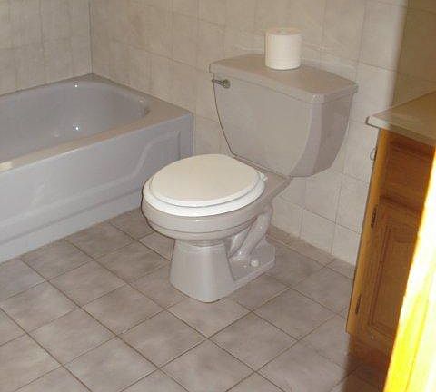 5th image of 893 Clifton Ave Floor 2