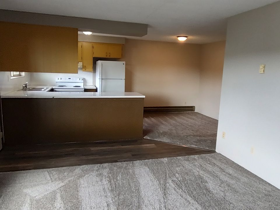 Open concept living/dining/kitchen