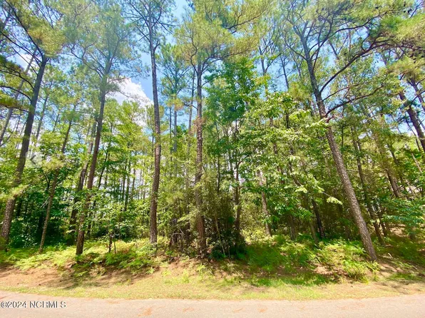 Lot #11 Bee Tree Lane, Wagram, NC 28396