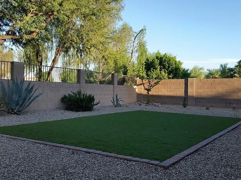 BACKYARD 3