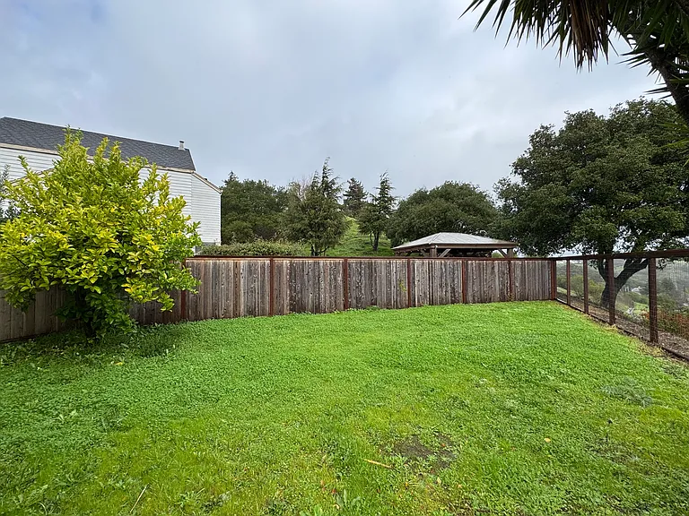 Rear yard