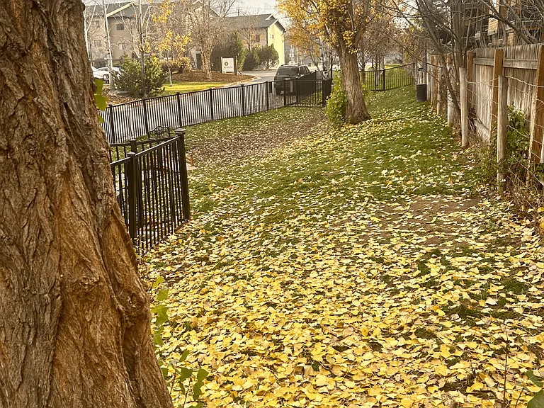 Mullan Reserve Apartments — Photo 20