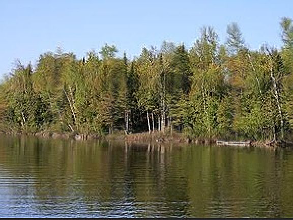 Chaney Lake frontage