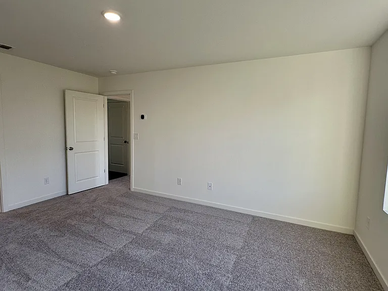 233 Golden Raintree Dr — Photo 13