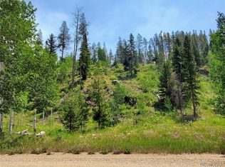 29225 River Dr, Clark, CO 80428