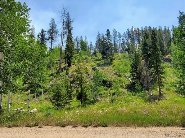 29225 River Dr, Clark, CO 80428